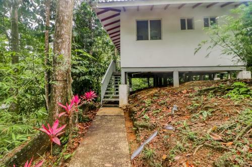 Apartamento Lost Pools Bungalow