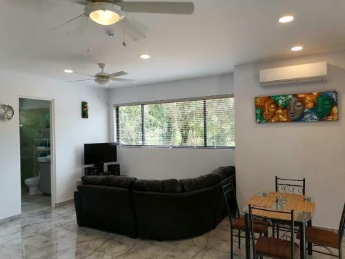 Apartamento Ideal Living