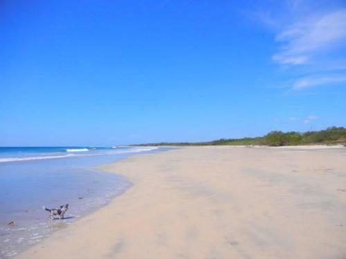 Hostal Little Hawaii Avellanas