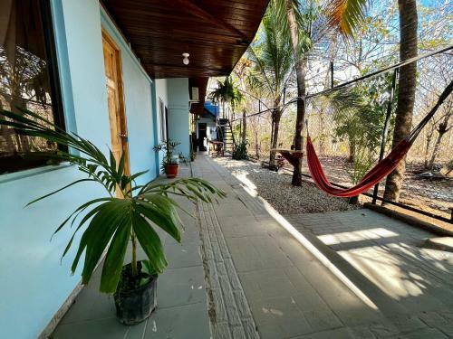 Hostal Avellanas Surf Hostel