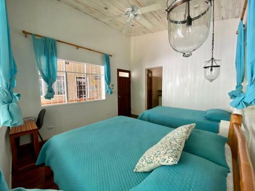 Freestyle Surf House