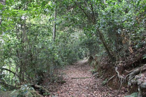 Hostal Hidden Heaven