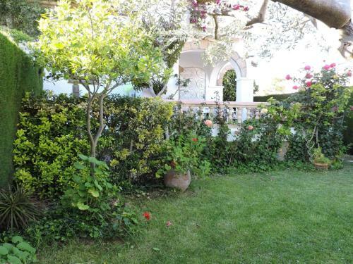 Villa Doree 395