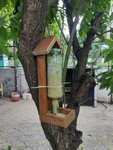Albergue Agsara Home Stay
