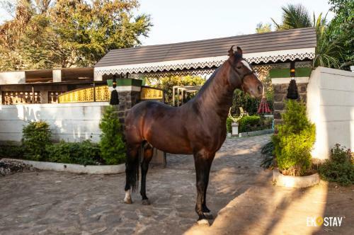 Eko Stay - The Ranch Villa
