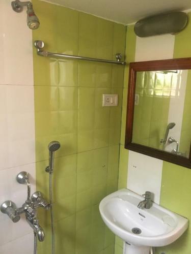 Hostal Baga Electric Cats