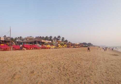 1 Bedroom Spacious Apartment In Calangute
