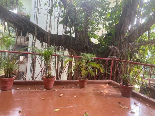 Calangute Holiday Apartment