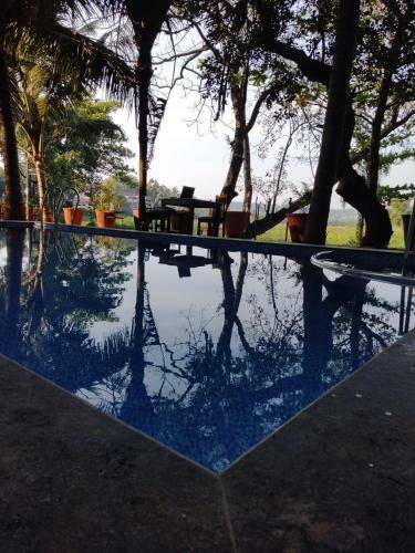 Service Apartments Baga With Pool