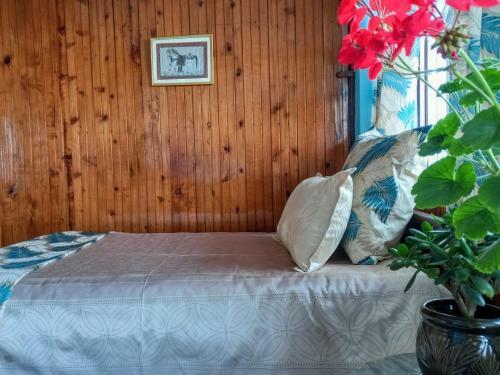 West Point Backpackers Hostel
