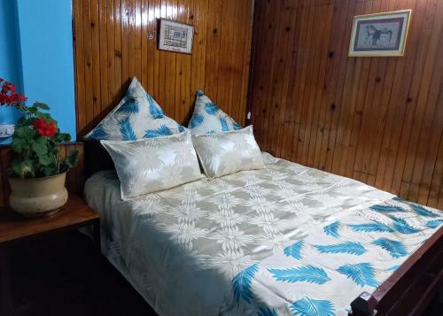 West Point Backpackers Hostel