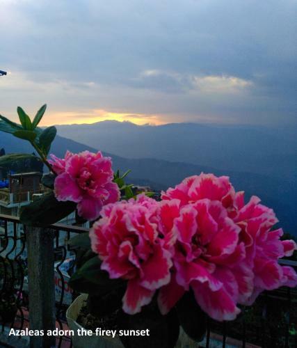 West Point Backpackers Hostel