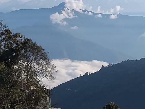 Madys View -aaple Ghar