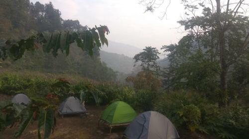 Darjeeling Nature Camp