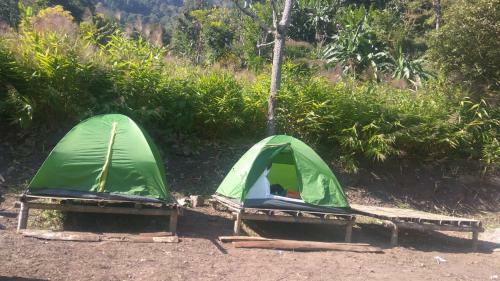 Darjeeling Nature Camp