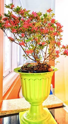 Hotel Yakkha Residency