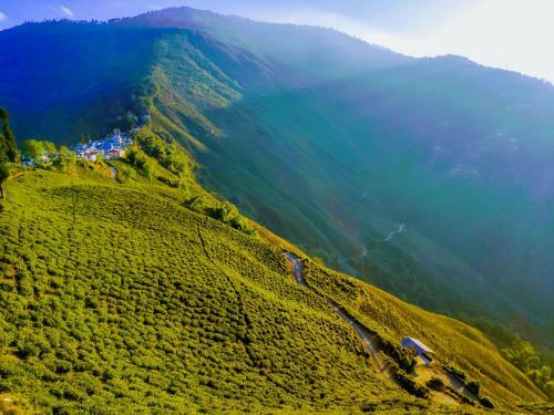 Solitude In Himalayas, Cottage