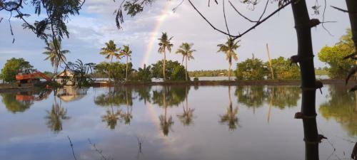 Bed & Breakfast Kari Backwater Home