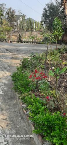 Jungjung Homestay
