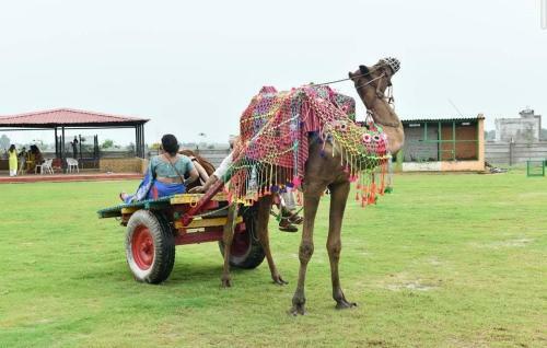Villa Dr Kauls Farm Near Gurugram