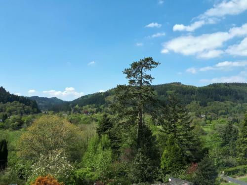 Aberconwy House B&B