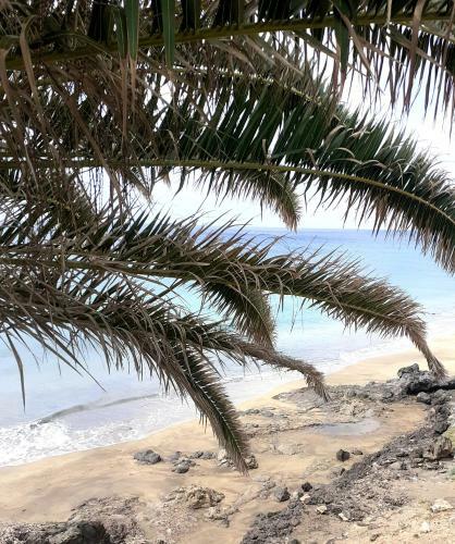 Apartamento Sea View La Playita