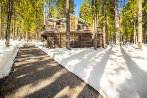 Bearfoot Retreat