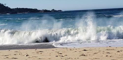 Comfort In Carmel