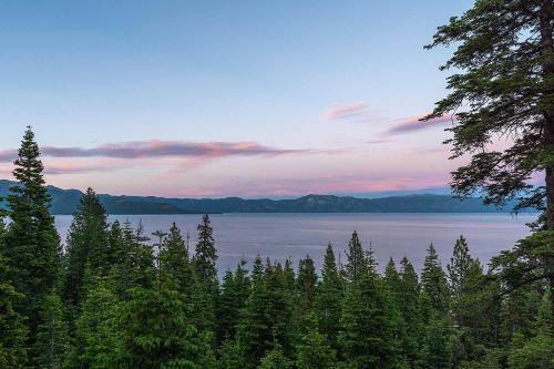 Shoreline Vista