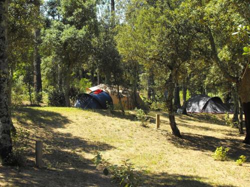 Camping Ma�anet De Cabrenys