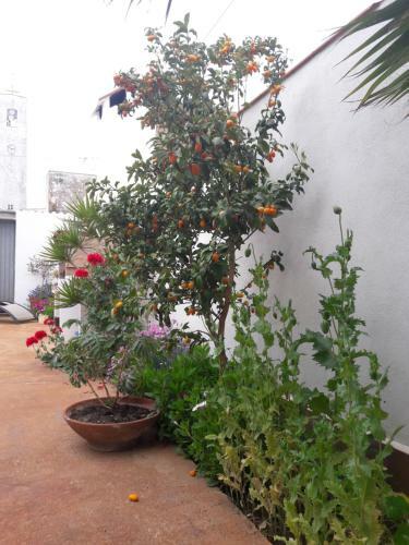 La Casa De La Lluna