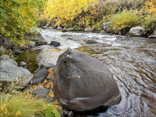 Riverfront Paradise-butterfly Ranch On The River