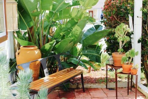 Central Oc Homestay