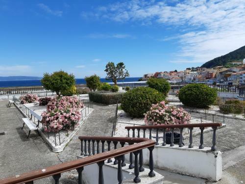 Apartamento Pirulana