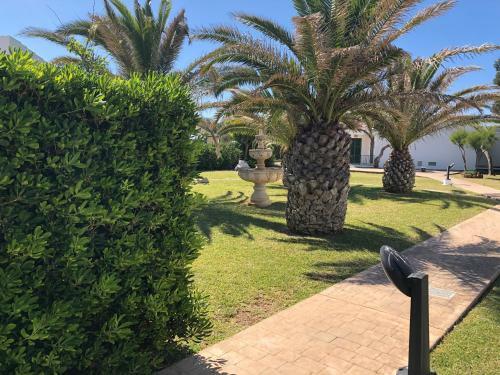 Apartamento S�ermita