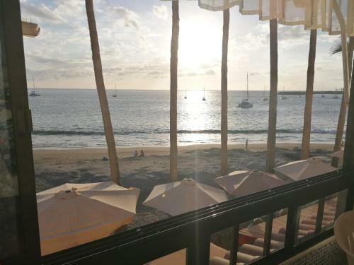 Beautiful Apartment On The Beachfront