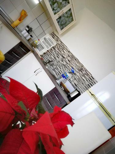 Panoramic Holiday Apartment Over The Anfi Beach