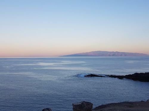 Tenerife Lizards - Duplex In The First Line