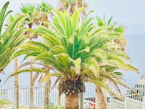 Apartamento Esmeralda
