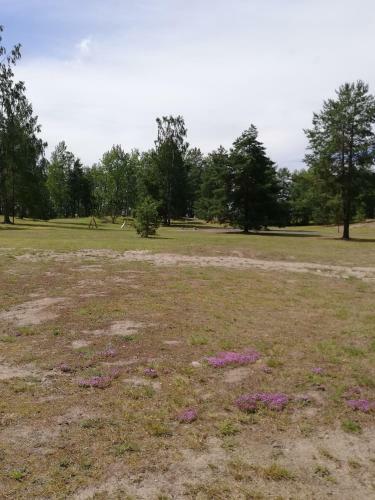 Lodge Aablaranna Puhkemaja
