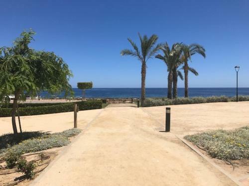 Apartamentos Luxury Beach & Rooftop Terrace