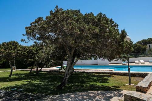 Apartamento 2 Habitaciones Con Piscina, En Cala Blanes