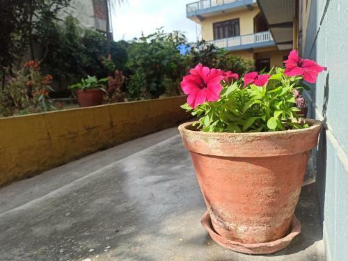 Hostal Pushpa Guest House