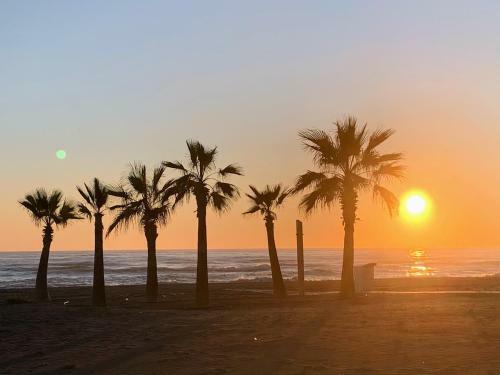 Apartamento Appartement Duna Beach