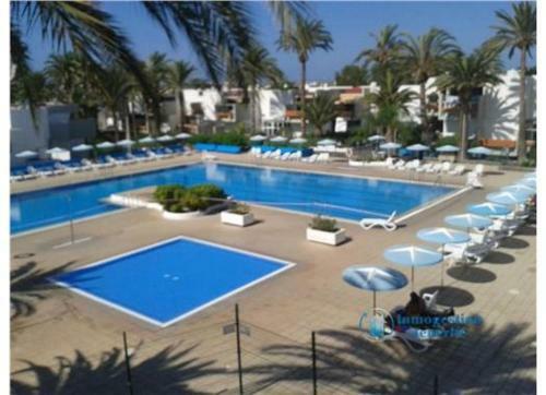 Apartamento Residencial Primavera