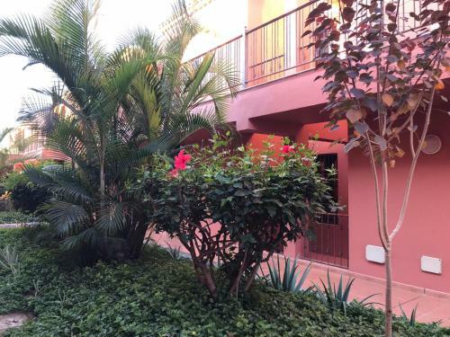 Apartamento Dreaming The Sun, Tenerife