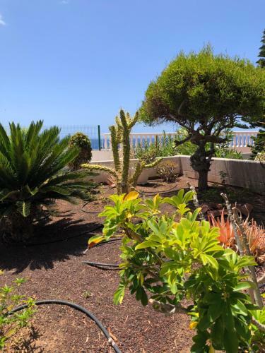 Apartamento Atlantic Vieuw