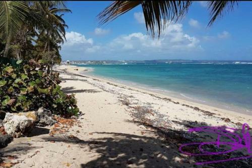 Apartamento Super Studio En R�sidence Face � La Plage