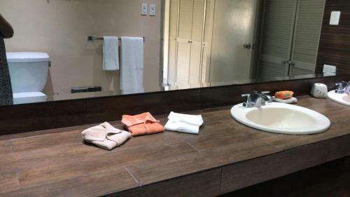 Apartamento Dpto De Lujo Con Jacuzzi