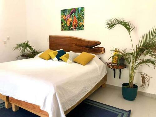 Hotel Villas Chital Bacalar